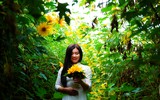 Cảnh đẹp như tranh của vườn hoa dã quỳ ngay giữa lòng Hà Nội 