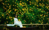 Cảnh đẹp như tranh của vườn hoa dã quỳ ngay giữa lòng Hà Nội 