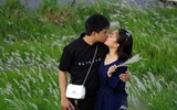 Ngắm triền đê cỏ lau trắng muốt tuyệt đẹp bên sông Hồng lúc chiều tà