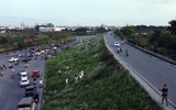 Ngắm triền đê cỏ lau trắng muốt tuyệt đẹp bên sông Hồng lúc chiều tà