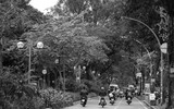 Lãng đãng chiều đông Hà Nội qua các bức ảnh đen trắng giàu cảm xúc