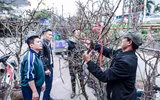 Ngắm hoa rừng tiền triệu mang tết sớm xuống phố Hà Nội
