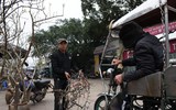 Ngắm hoa rừng tiền triệu mang tết sớm xuống phố Hà Nội