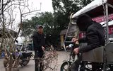 Ngắm hoa rừng tiền triệu mang tết sớm xuống phố Hà Nội
