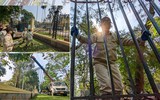 Hà Nội: Tháo dỡ hàng rào sắt công viên Thống Nhất sau 60 năm hoạt động