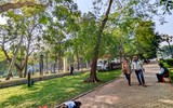 Hà Nội: Tháo dỡ hàng rào sắt công viên Thống Nhất sau 60 năm hoạt động