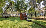Hà Nội: Tháo dỡ hàng rào sắt công viên Thống Nhất sau 60 năm hoạt động
