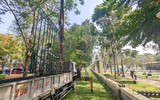Hà Nội: Tháo dỡ hàng rào sắt công viên Thống Nhất sau 60 năm hoạt động