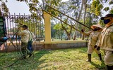 Hà Nội: Tháo dỡ hàng rào sắt công viên Thống Nhất sau 60 năm hoạt động