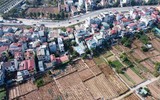Nhìn từ flycam những vườn đào ven sông Hồng chờ ngày ra hoa đón Tết Quý Mão