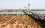 Nhìn từ flycam những vườn đào ven sông Hồng chờ ngày ra hoa đón Tết Quý Mão