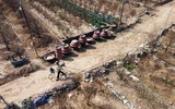 Nhìn từ flycam những vườn đào ven sông Hồng chờ ngày ra hoa đón Tết Quý Mão