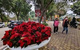 Hà Nội: Xem không gian đi bộ quanh hồ Thiền Quang trang hoàng đẹp mắt trước ngày khai trương