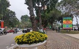 Hà Nội: Xem không gian đi bộ quanh hồ Thiền Quang trang hoàng đẹp mắt trước ngày khai trương