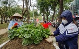 Hà Nội: Xem không gian đi bộ quanh hồ Thiền Quang trang hoàng đẹp mắt trước ngày khai trương