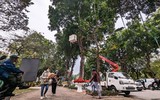 Hà Nội: Xem không gian đi bộ quanh hồ Thiền Quang trang hoàng đẹp mắt trước ngày khai trương