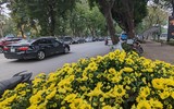 Hà Nội: Xem không gian đi bộ quanh hồ Thiền Quang trang hoàng đẹp mắt trước ngày khai trương