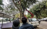 Hà Nội: Xem không gian đi bộ quanh hồ Thiền Quang trang hoàng đẹp mắt trước ngày khai trương
