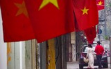 Cánh chim hòa bình tung cánh tuyệt đẹp trong sớm mùng 1 Tết Quý Mão giữa lòng Thủ đô