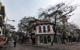 Cánh chim hòa bình tung cánh tuyệt đẹp trong sớm mùng 1 Tết Quý Mão giữa lòng Thủ đô