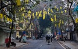 Cánh chim hòa bình tung cánh tuyệt đẹp trong sớm mùng 1 Tết Quý Mão giữa lòng Thủ đô
