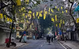 Cánh chim hòa bình tung cánh tuyệt đẹp trong sớm mùng 1 Tết Quý Mão giữa lòng Thủ đô