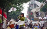 Cánh chim hòa bình tung cánh tuyệt đẹp trong sớm mùng 1 Tết Quý Mão giữa lòng Thủ đô