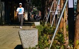 Ngắm hàng ghế đá tối giản tuyệt đẹp trong nắng xuân trên phố Nguyễn Chí Thanh