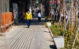 Ngắm hàng ghế đá tối giản tuyệt đẹp trong nắng xuân trên phố Nguyễn Chí Thanh