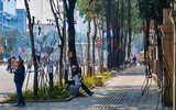Ngắm hàng ghế đá tối giản tuyệt đẹp trong nắng xuân trên phố Nguyễn Chí Thanh
