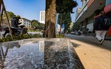 Ngắm hàng ghế đá tối giản tuyệt đẹp trong nắng xuân trên phố Nguyễn Chí Thanh