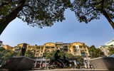 Ngắm hàng ghế đá tối giản tuyệt đẹp trong nắng xuân trên phố Nguyễn Chí Thanh