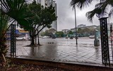 Cận cảnh công viên lớn ở Hà Nội được đề nghị tháo rào sắt phục vụ dân miễn phí