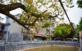 Ngắm hoa bún nở rộ với vẻ đẹp độc đáo giữa lòng Thủ đô