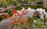 Ngắm hoa gạo đỏ rực soi bóng thủy đình cổ kính ở Hà Nội