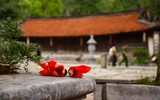 Ngắm hoa gạo đỏ rực soi bóng thủy đình cổ kính ở Hà Nội