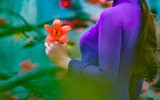 Ngắm hoa gạo đỏ rực soi bóng thủy đình cổ kính ở Hà Nội