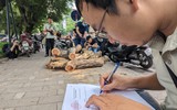 Công nhân chặt hạ cây sưa đỏ chết khô bên hồ Gươm