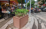 Xem hàng bốt điện được 