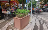 Xem hàng bốt điện được 