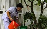 Theo chân đội xung kích diệt bọ gậy, phòng sốt xuất huyết ở Hà Nội