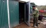 Cận cảnh những cây đào thất thốn 