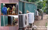 Cận cảnh những cây đào thất thốn 