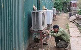 Cận cảnh những cây đào thất thốn 