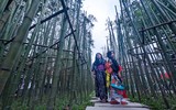 Ngắm vườn trúc độc đáo ngay giữa lòng Thủ đô