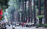 Tận mắt ngắm hàng cây sao đen trăm tuổi trên phố Lò Đúc, Hà Nội
