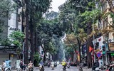 Tận mắt ngắm hàng cây sao đen trăm tuổi trên phố Lò Đúc, Hà Nội
