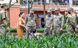 Hình ảnh 'biết nói' về hiệu quả của 250 Tổ Tuần tra nhân dân ở quận Hà Đông