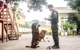 Tận mắt xem hoạt động của đơn vị chiến đấu đặc biệt Trung đoàn CSCĐ CATP Hà Nội 