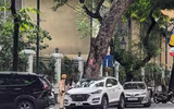Cần xử lý dứt điểm tình trạng 